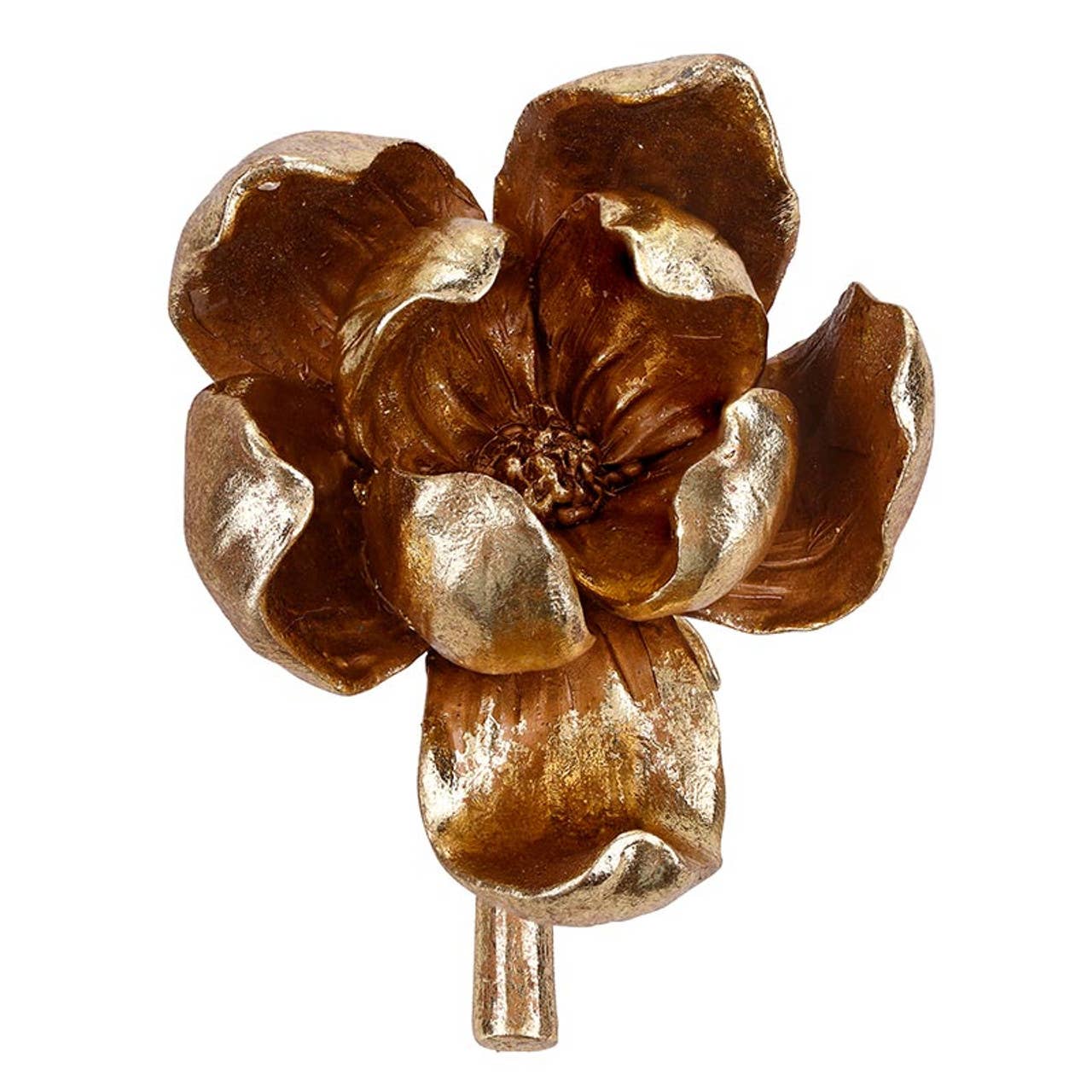 Golden Magnolia Accent