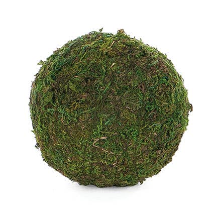 Moss Ball 4"