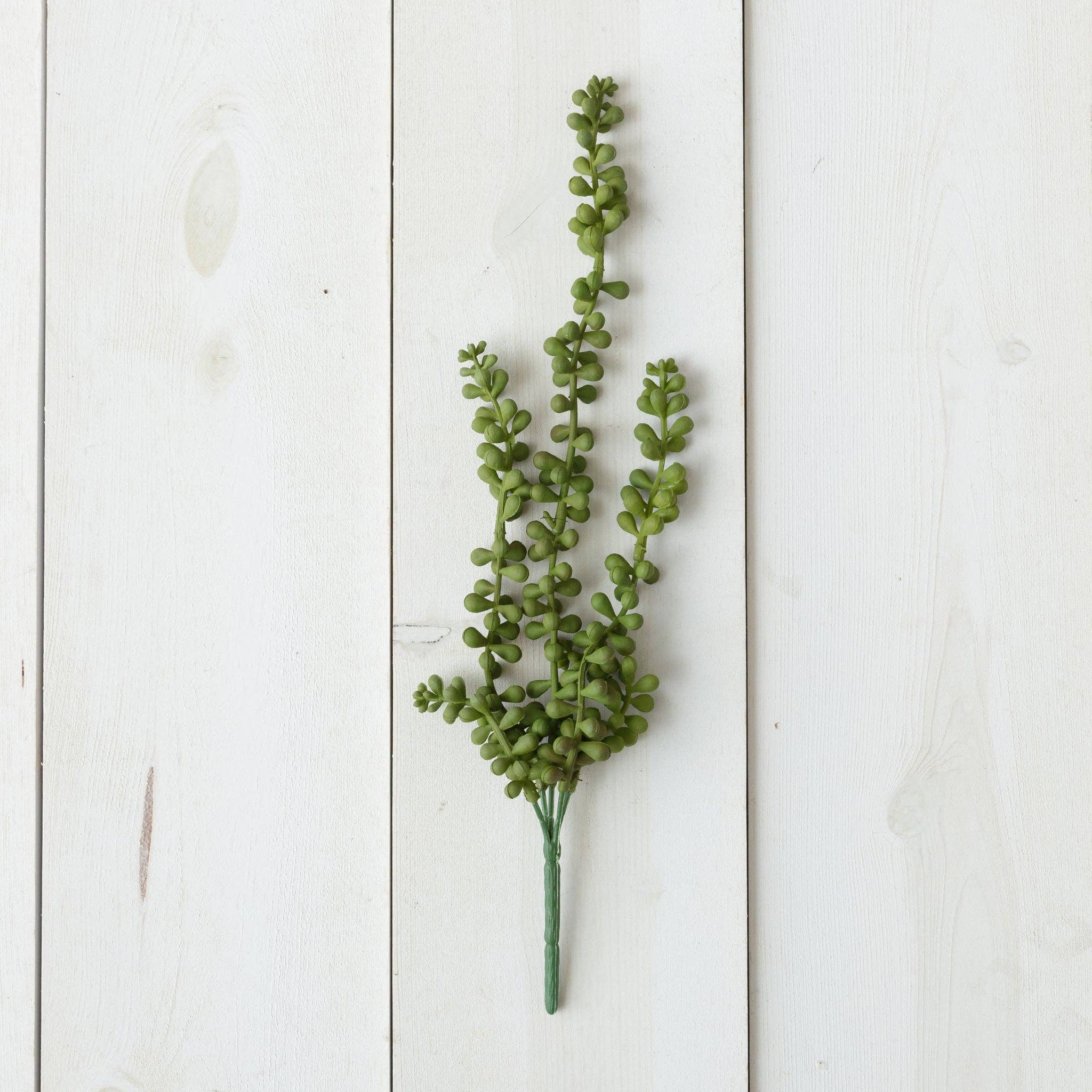 Jade Berry Stem