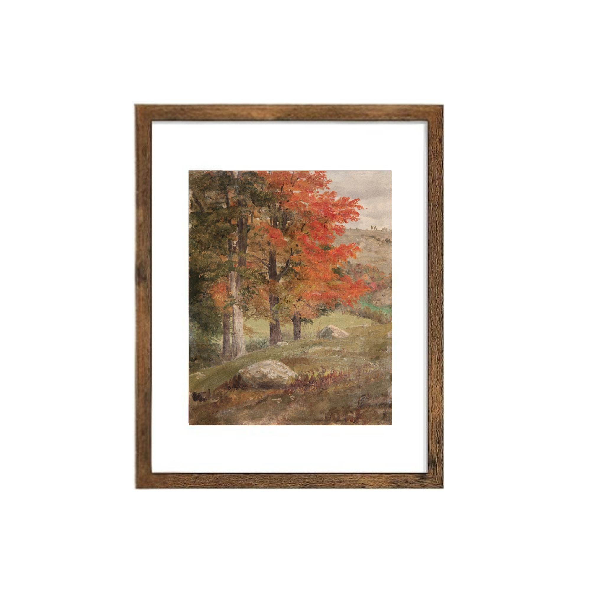 Woods in Autumn Matted Art Print, 11x14 Frame