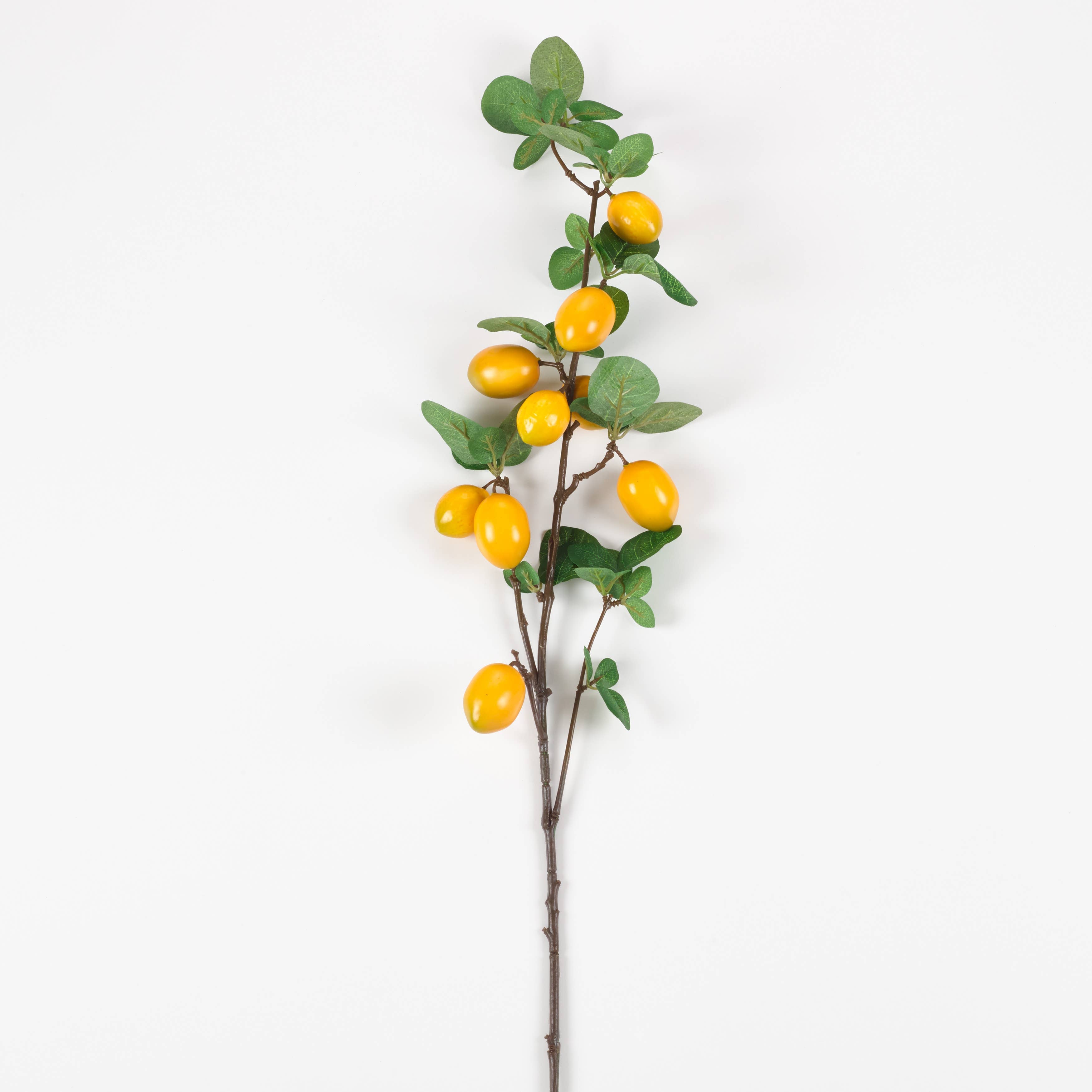 Lemon Branch 32.5"
