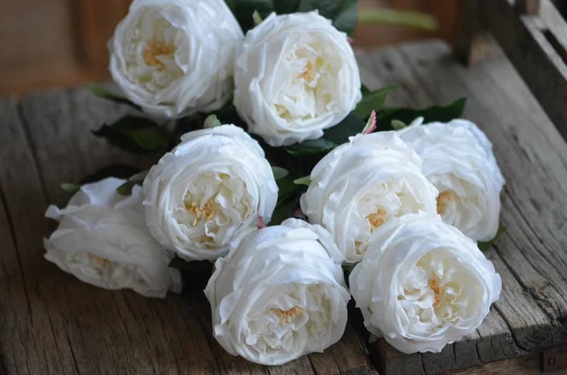 Faux English Austin Cabbage Rose Stem