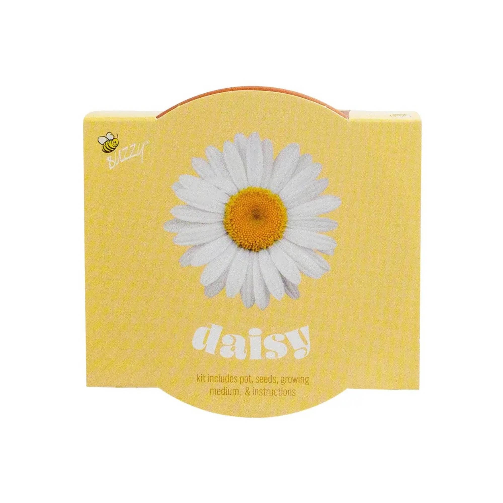 Daisy Terracotta Grow Kit
