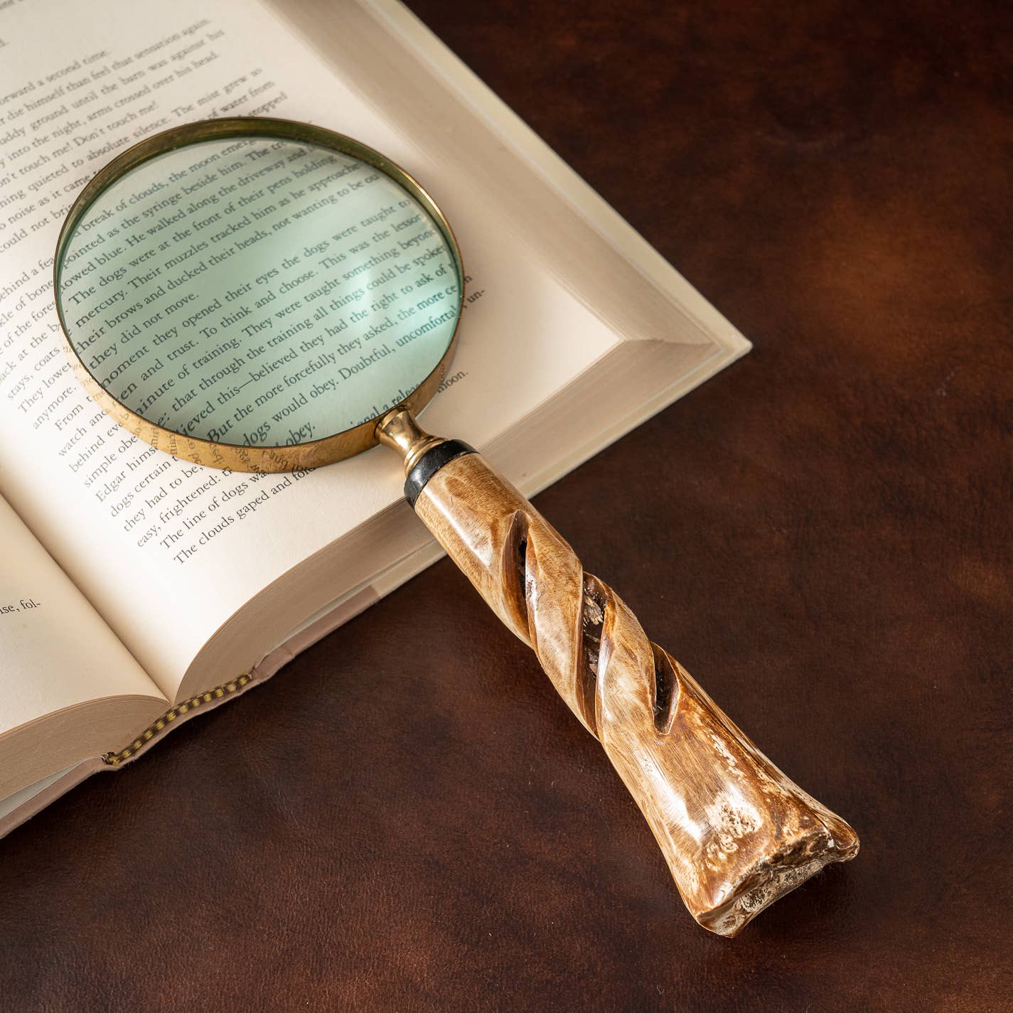 Bone Handle Magnifying Glass