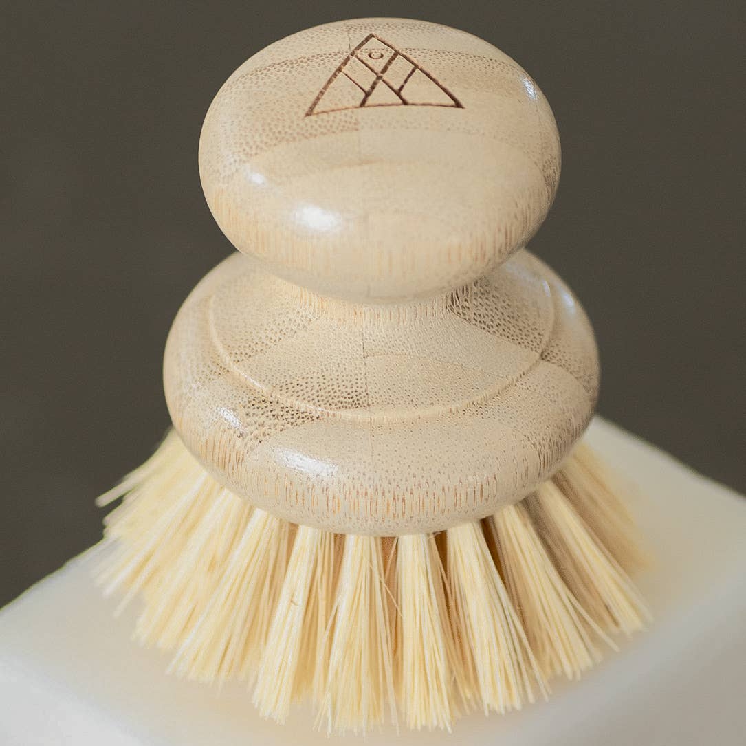 CASA AGAVE® Dish Washing Brush